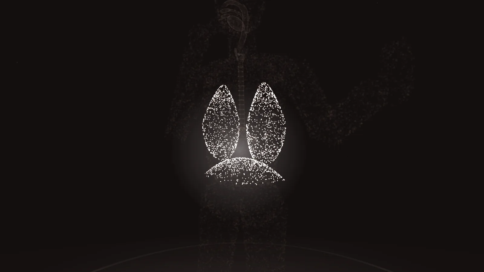 Inside the voice: the larynx and vocal tract